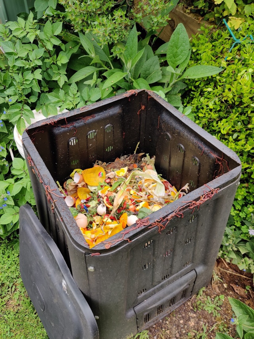 Vegetables growing in containers on a patio