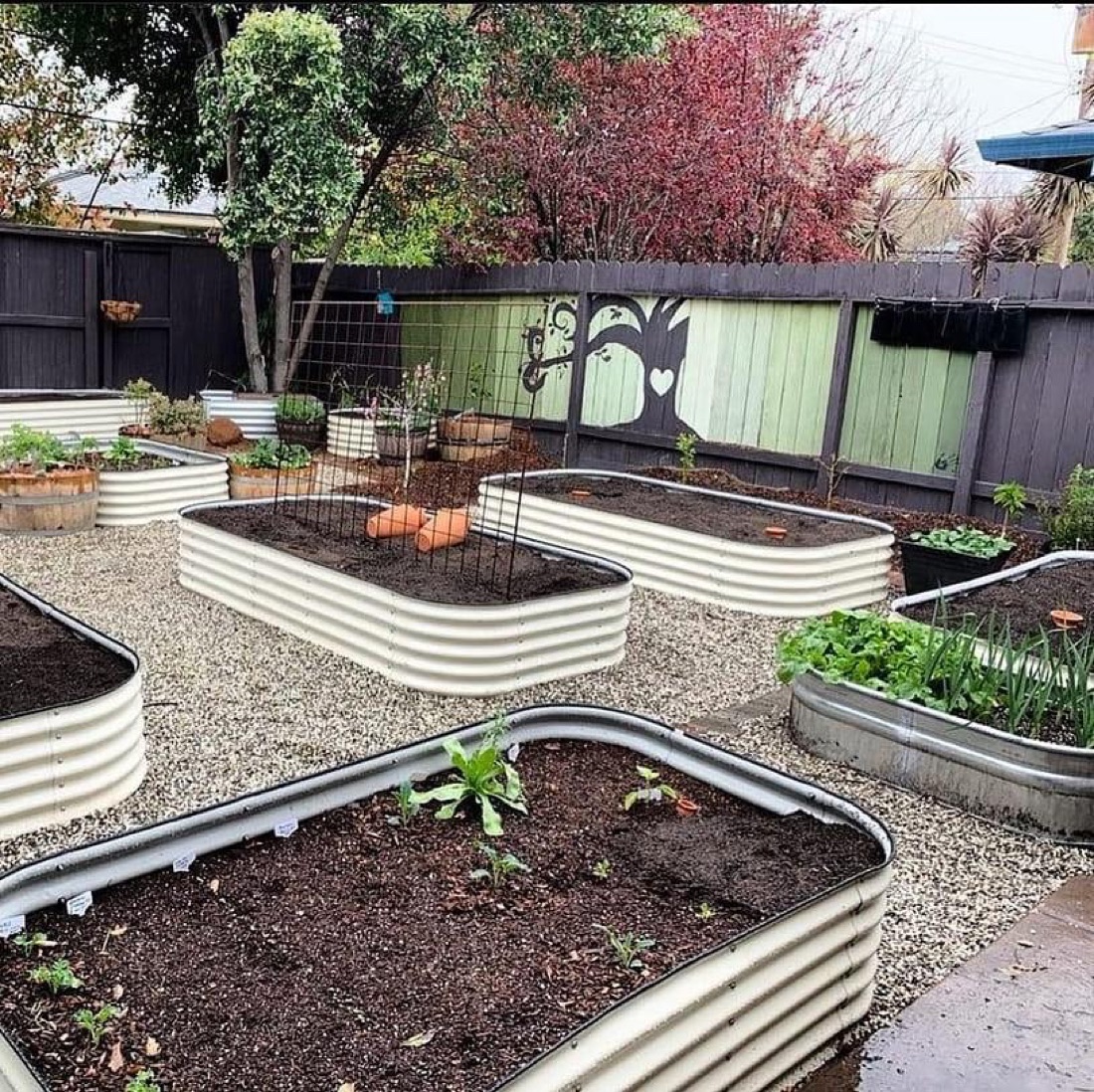 A productive homestead vegetable patch