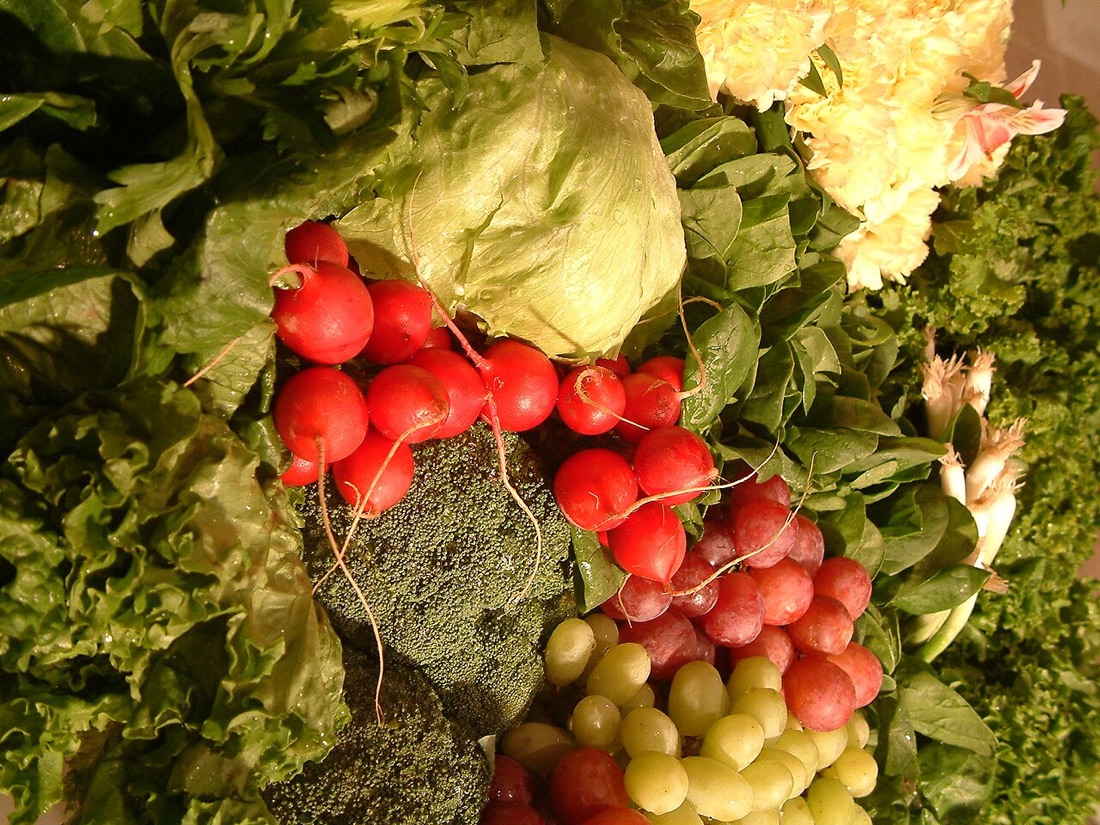 A vegetable garden with raised beds