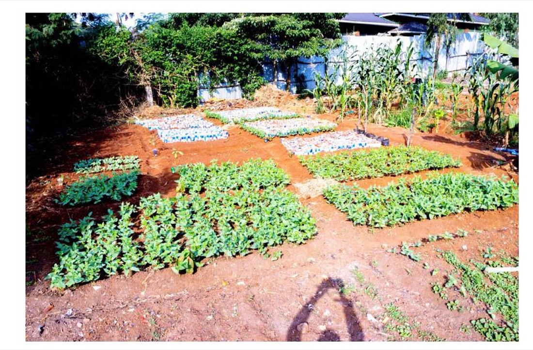 A child gardening