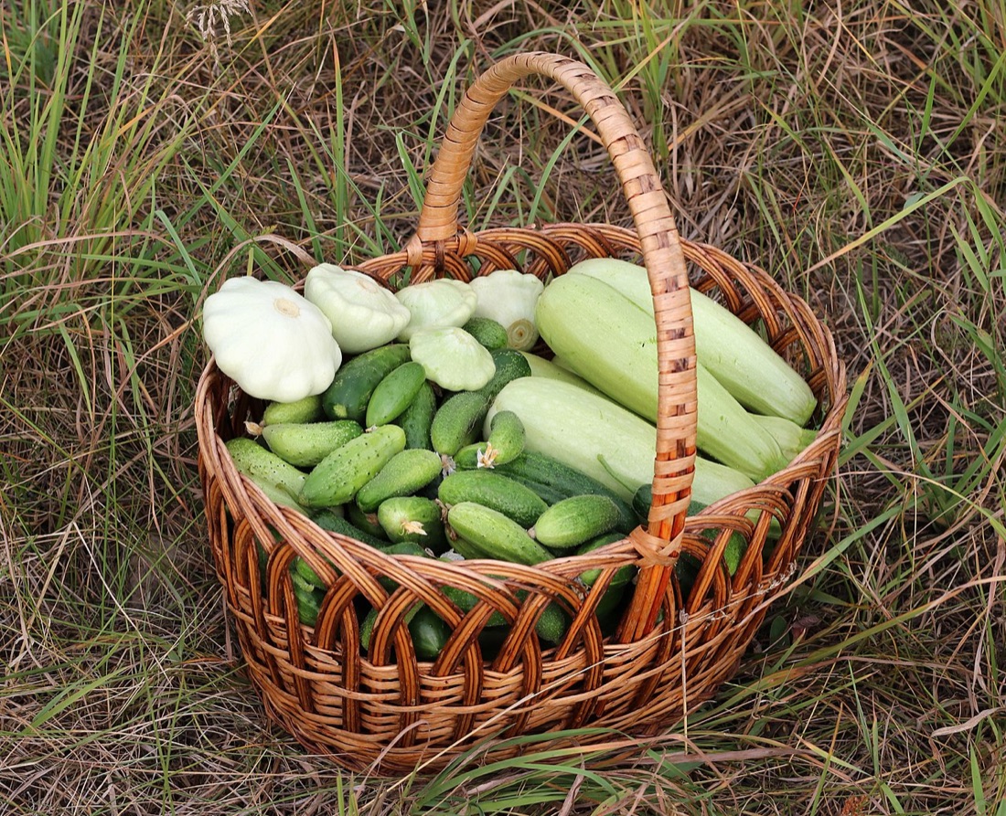 A basket of homegrown vegetables