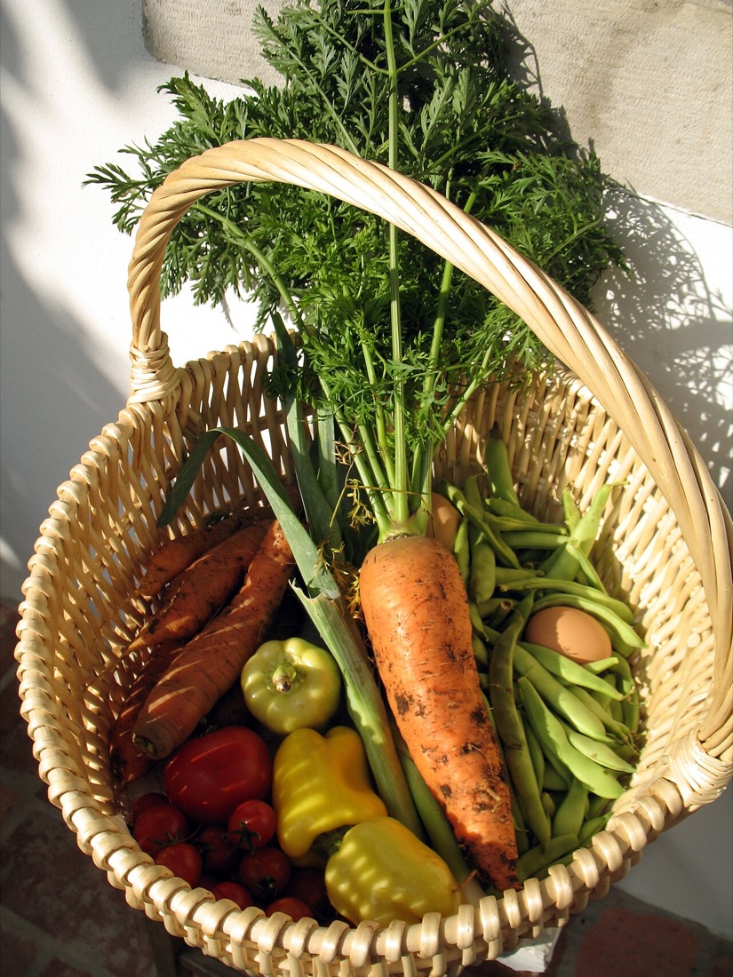 A basket of homegrown vegetables