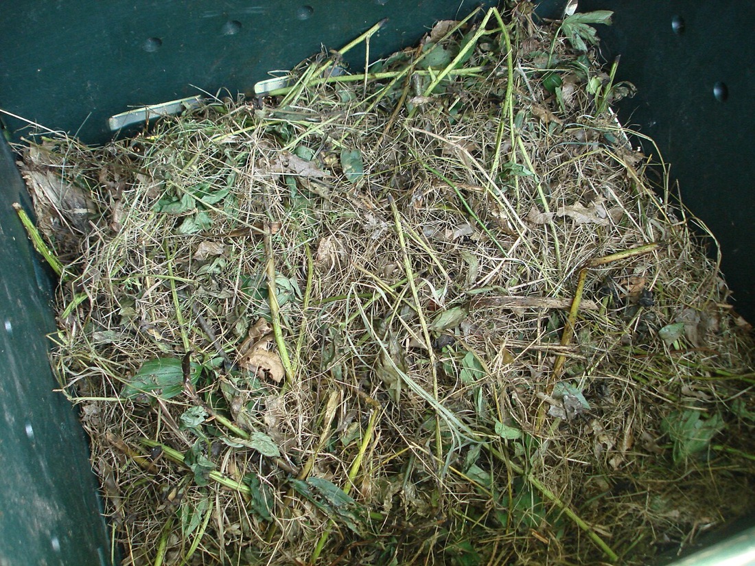 Rich garden soil and compost
