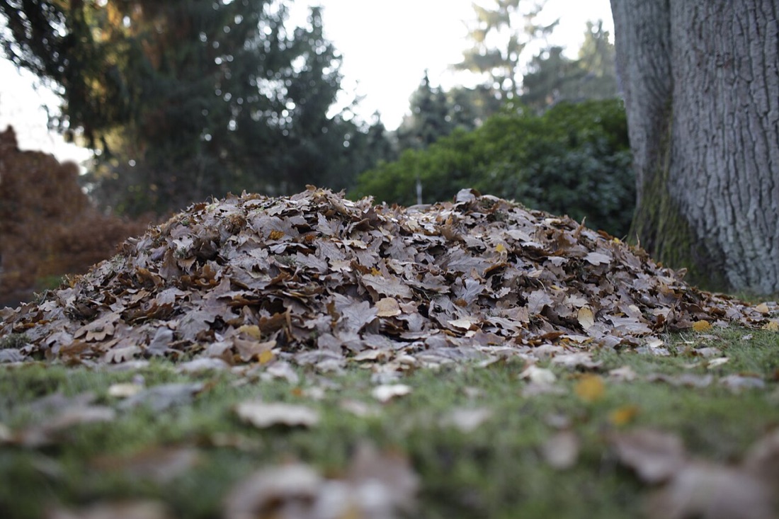 A garden compost heap