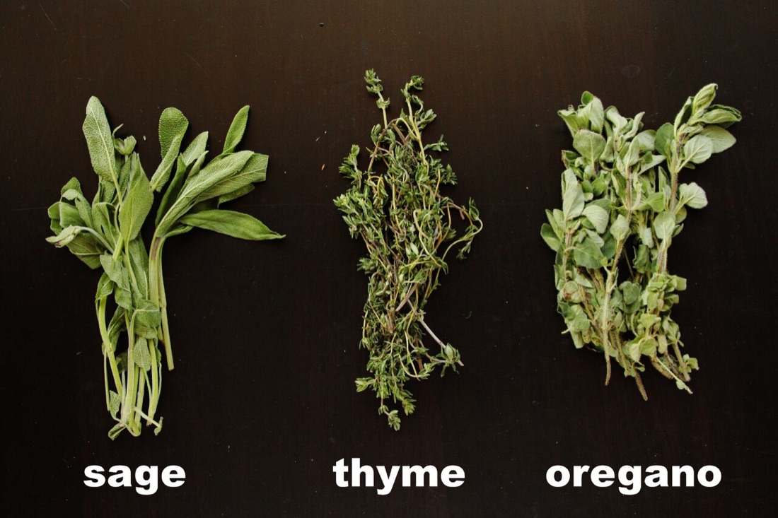 Thyme, sage and other Mediterranean herbs