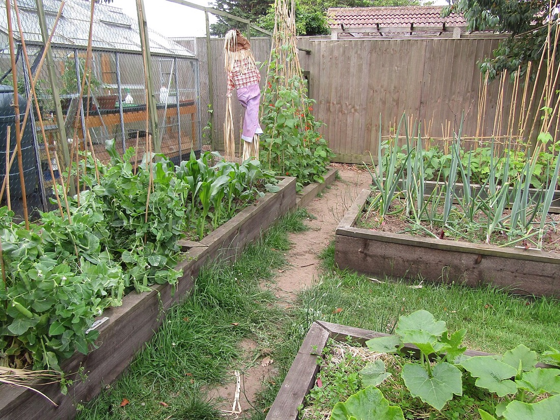 Rich garden soil and compost