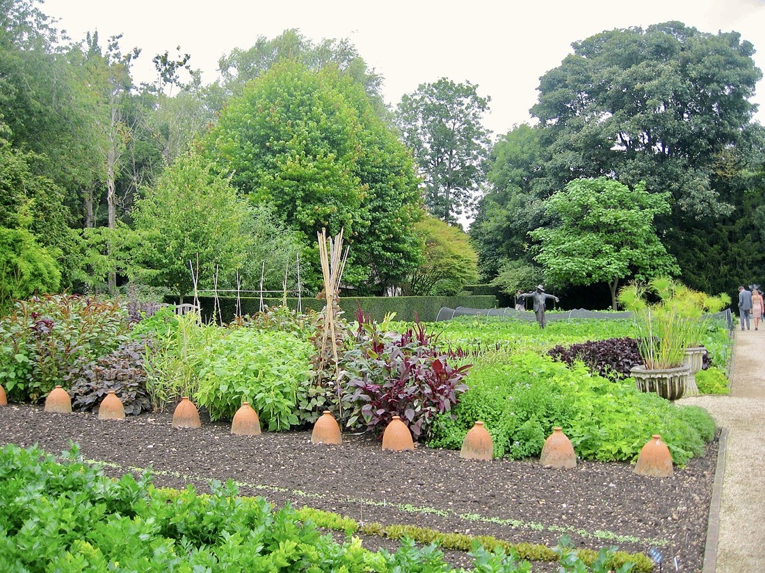 An organic vegetable garden with flowers