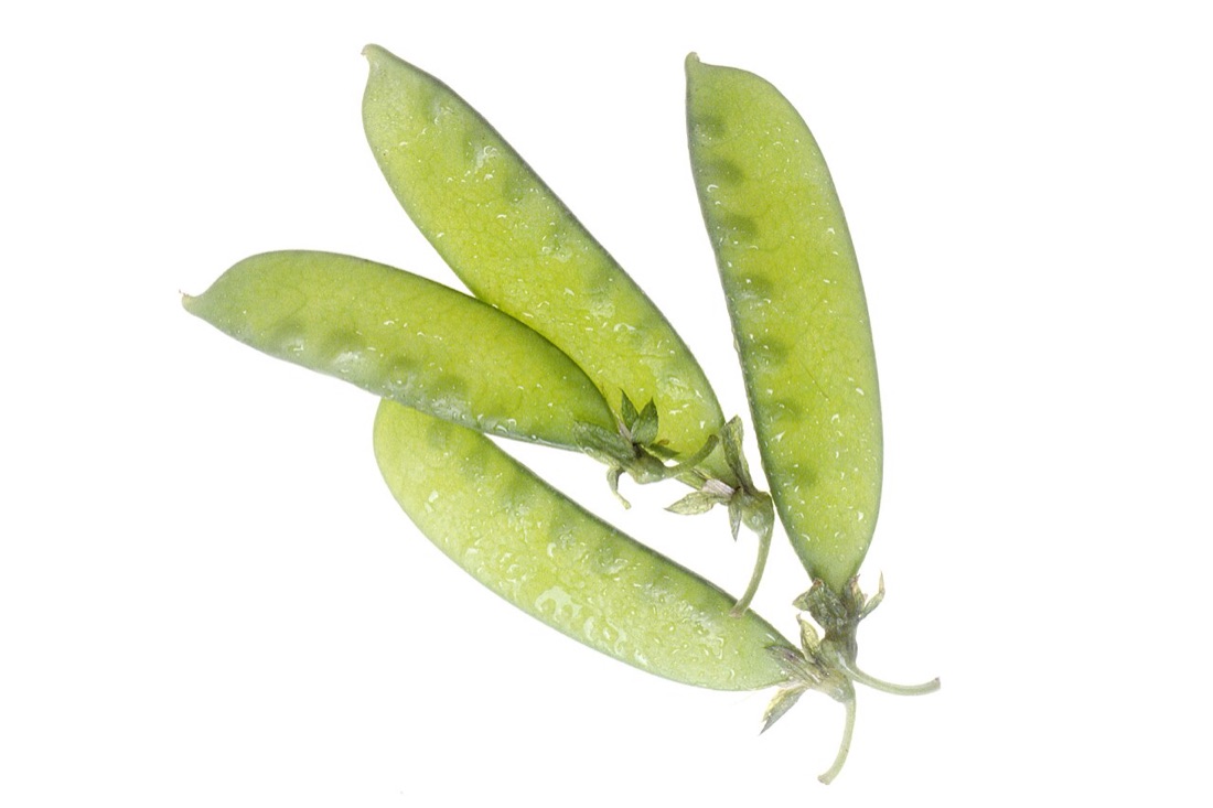 Pea pods growing on the plant