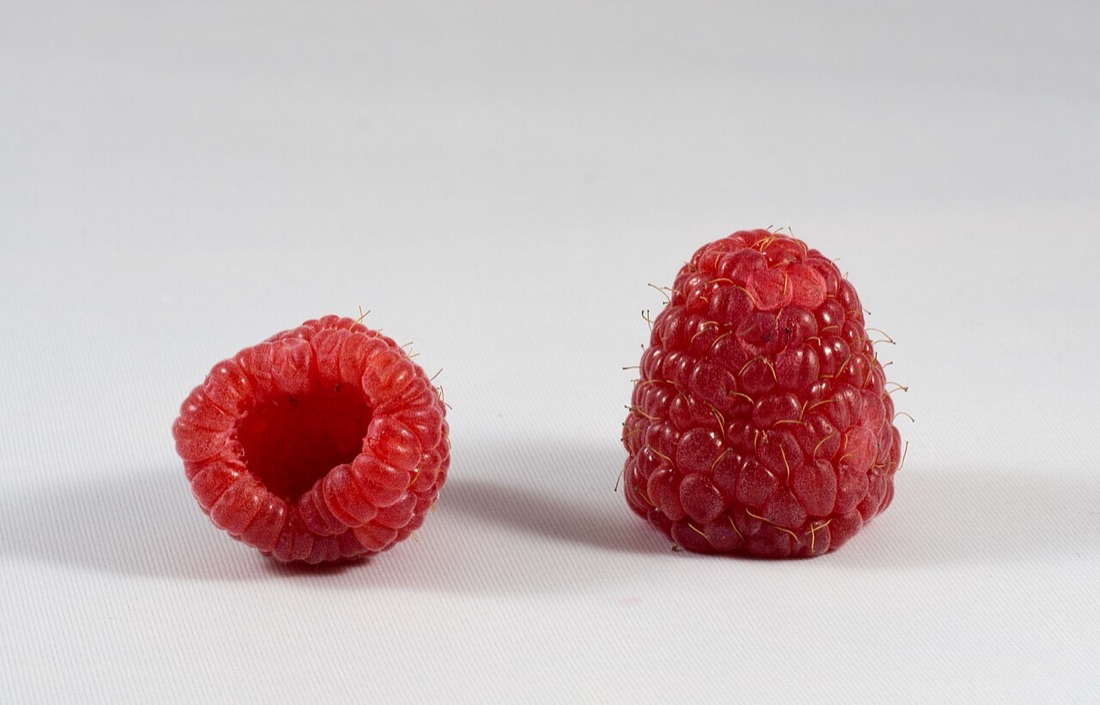 Ripe raspberries on the cane