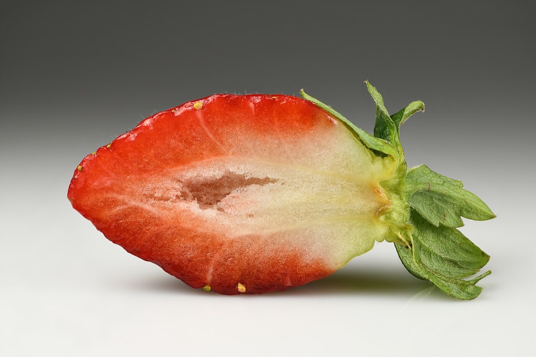 Ripe strawberries on the plant