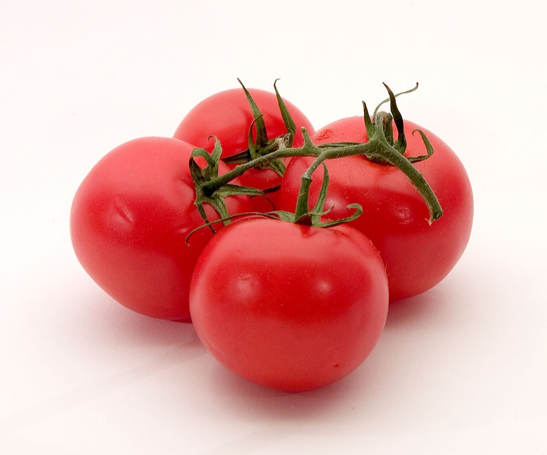 Ripe tomatoes growing on the vine
