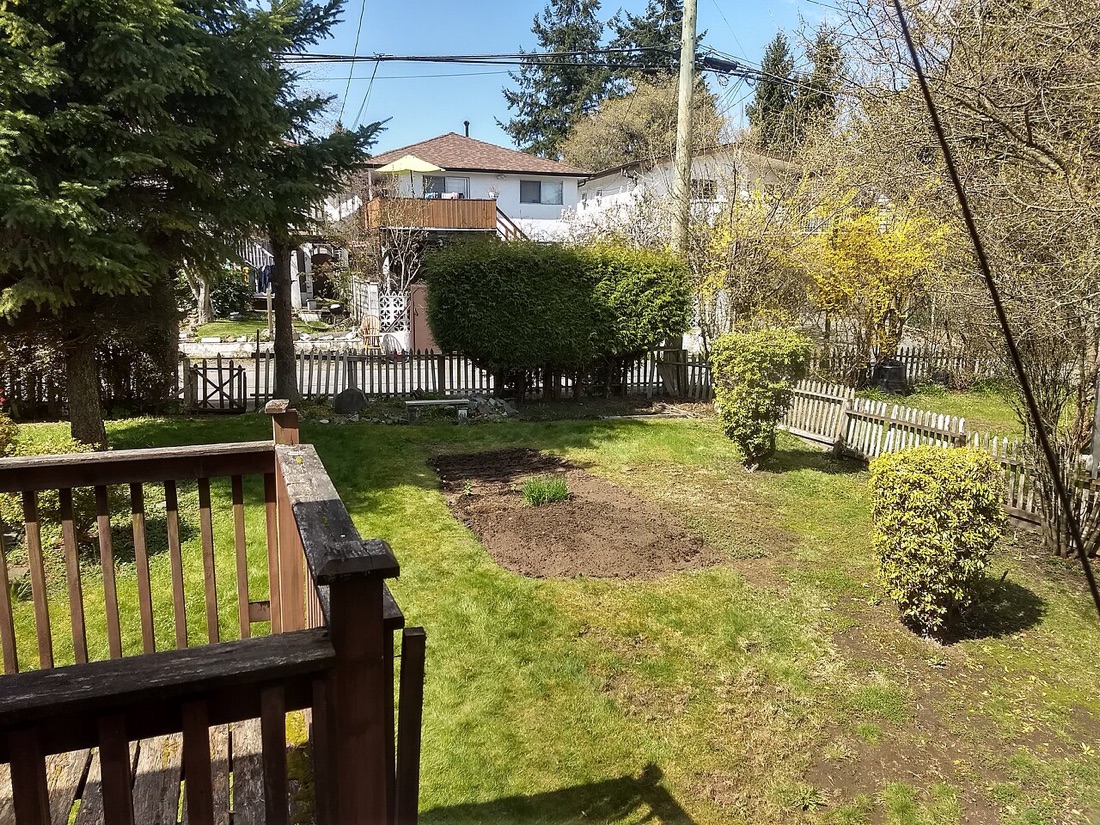 A productive vegetable garden