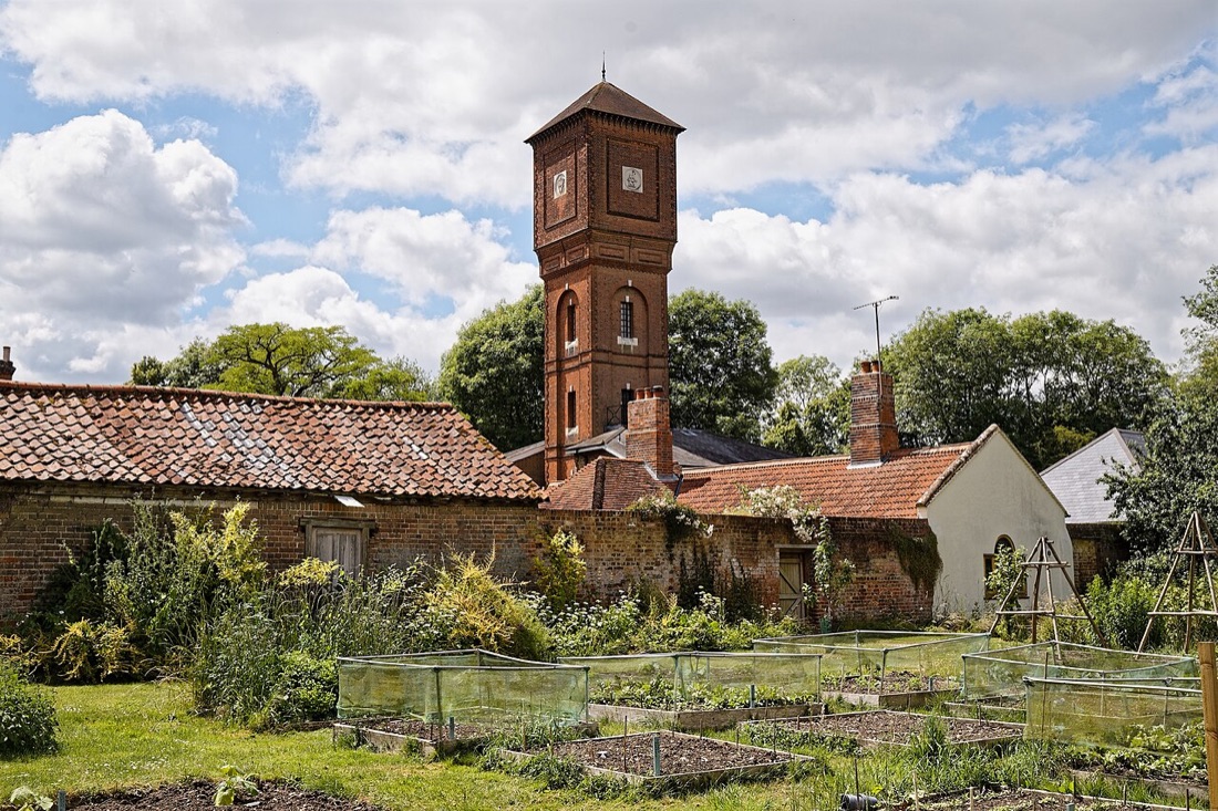 A productive vegetable garden
