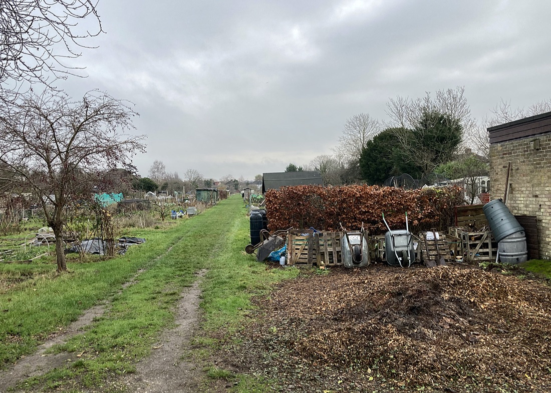 A productive vegetable garden
