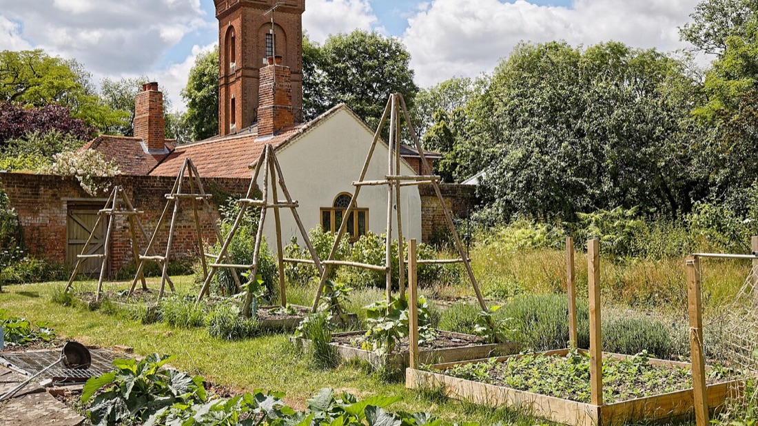 A productive vegetable garden