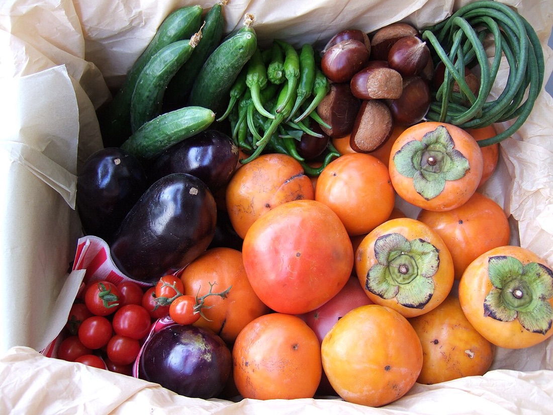 A productive vegetable garden