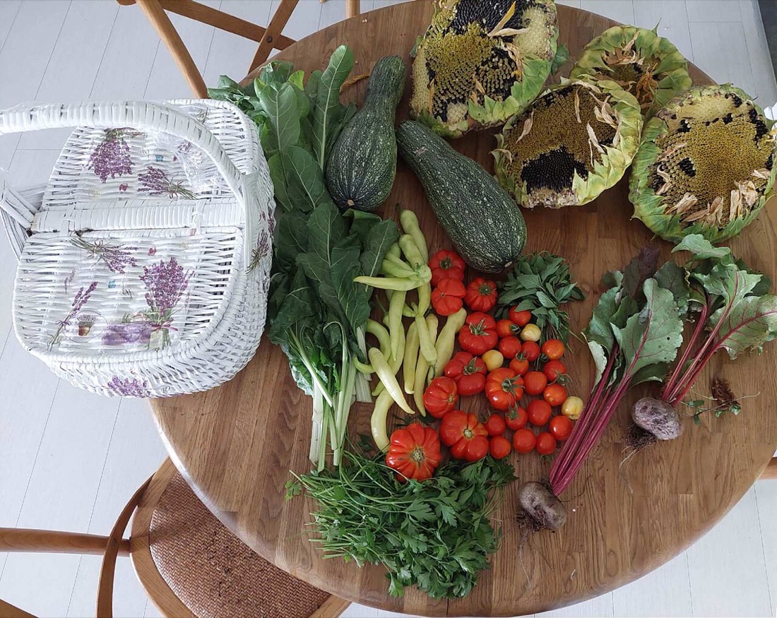 A productive vegetable garden
