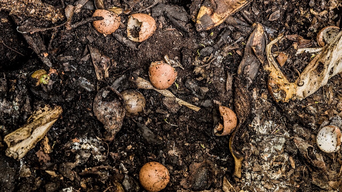 A garden compost heap