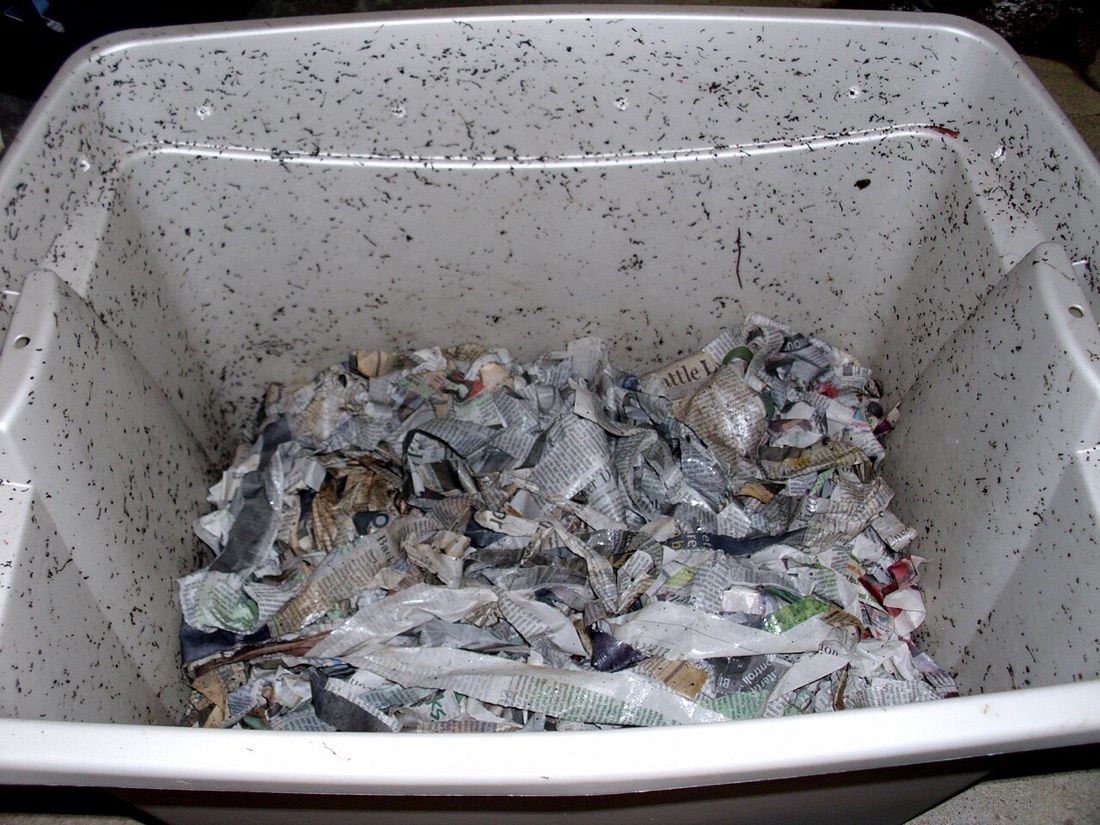 A garden compost heap